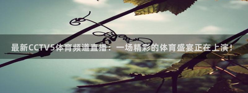 9255tv直播nba在线观看：最新CCTV5体育频道直播：一场精彩的体育盛宴正在上演！